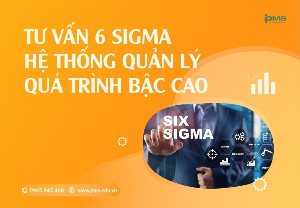 Tư Vấn Doanh Nghiệp PMS