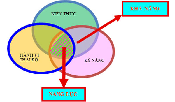 Tư Vấn Doanh Nghiệp PMS