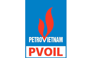 Tư Vấn Doanh Nghiệp PMS