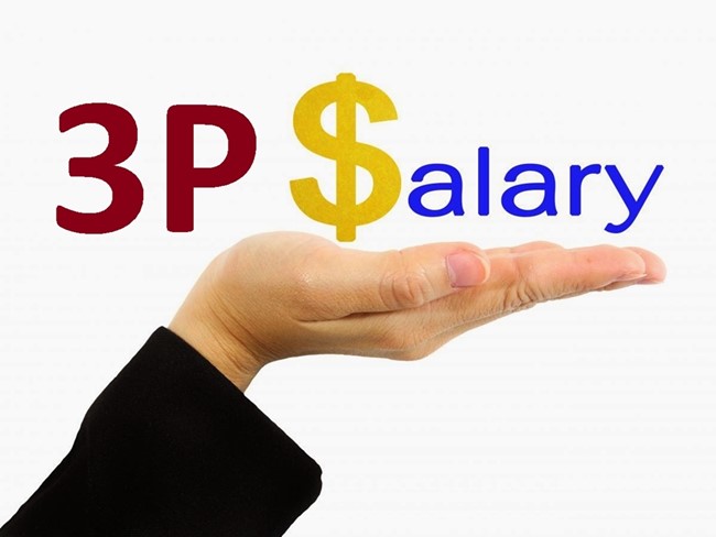 Tư Vấn Doanh Nghiệp PMS