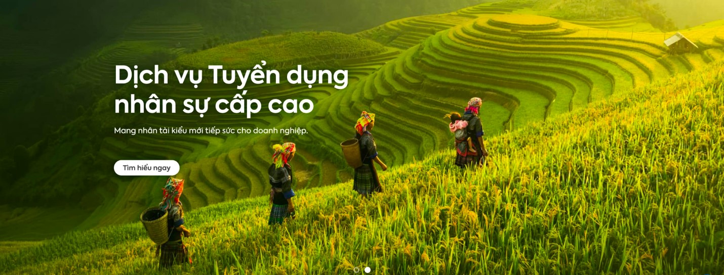 Tư Vấn Doanh Nghiệp PMS