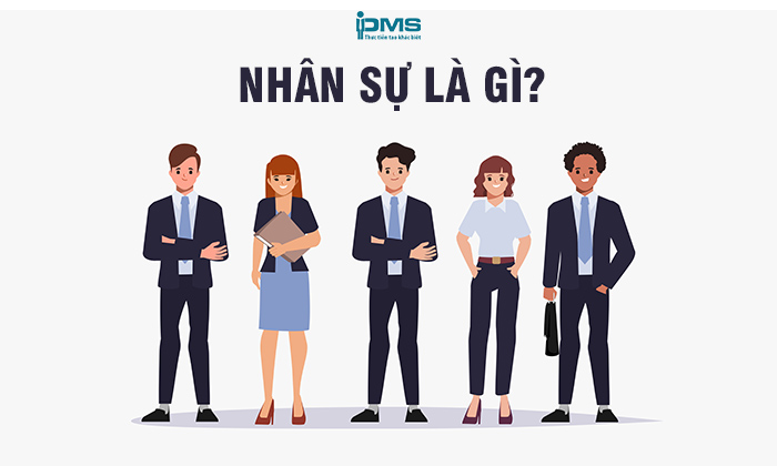 Tư Vấn Doanh Nghiệp PMS