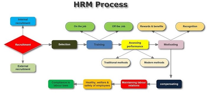Tư Vấn Doanh Nghiệp PMS