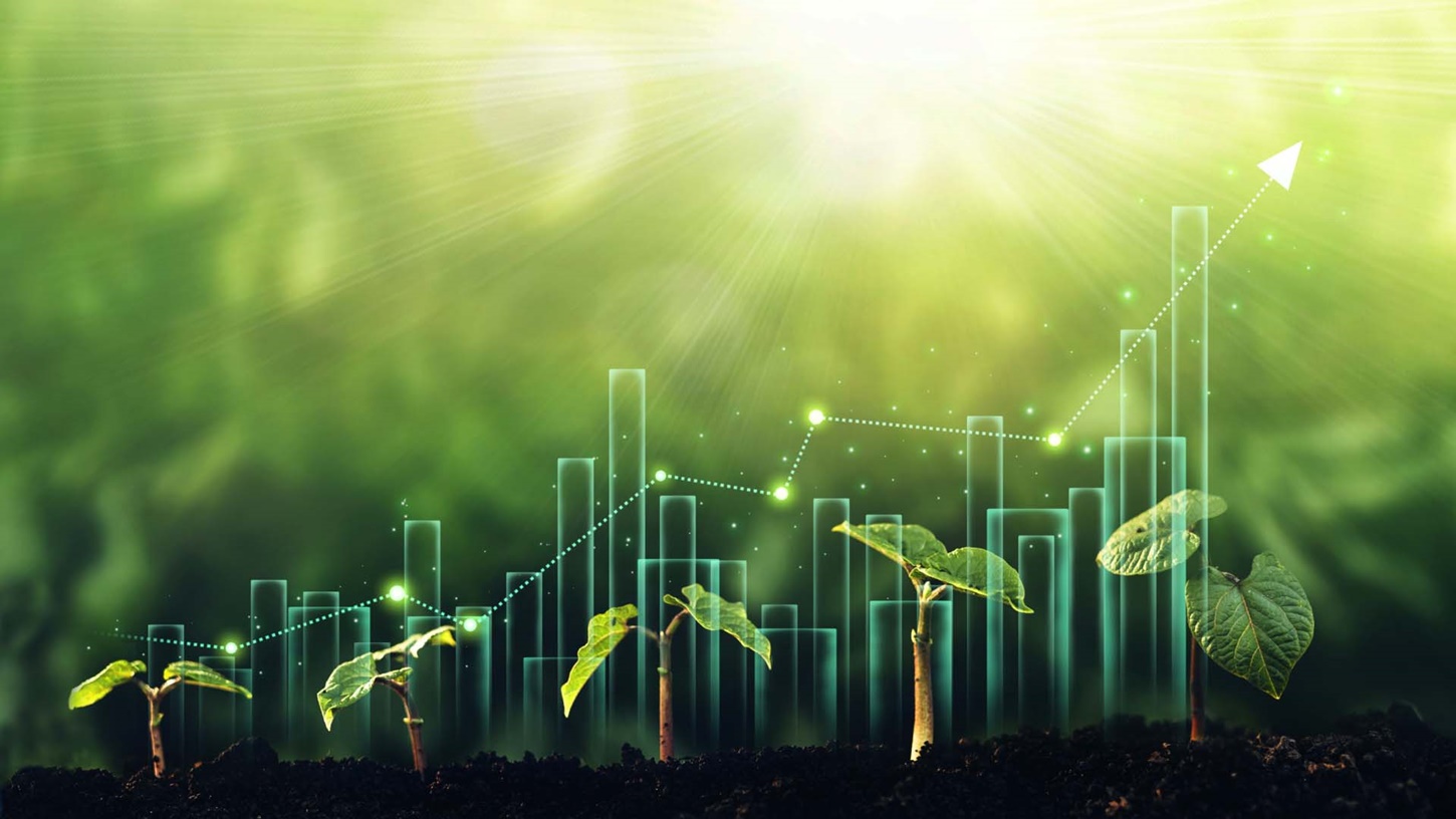 Tư Vấn Doanh Nghiệp PMS