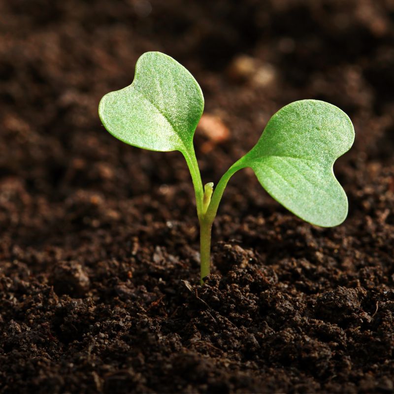 Tư Vấn Doanh Nghiệp PMS