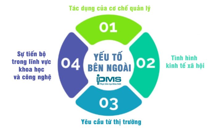 Tư Vấn Doanh Nghiệp PMS