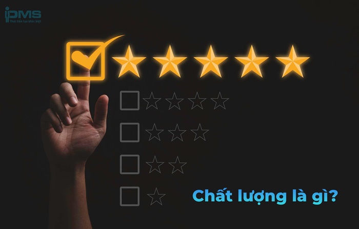 Tư Vấn Doanh Nghiệp PMS