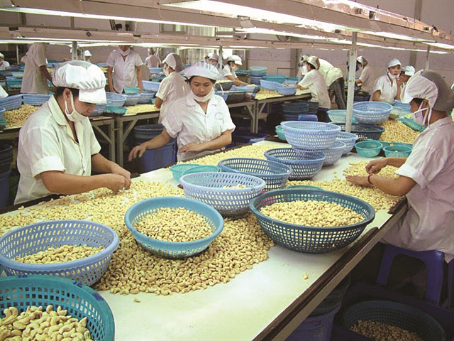 Tư Vấn Doanh Nghiệp PMS