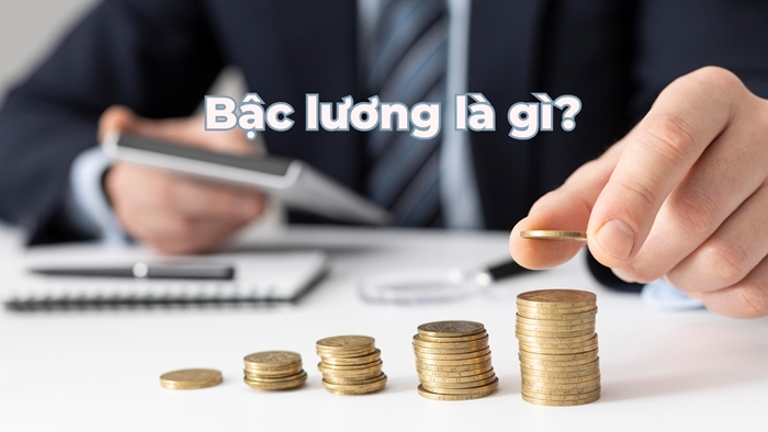Tư Vấn Doanh Nghiệp PMS