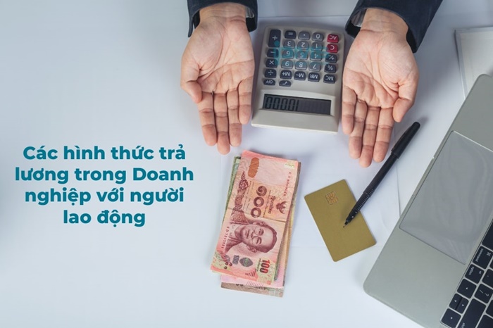 Tư Vấn Doanh Nghiệp PMS