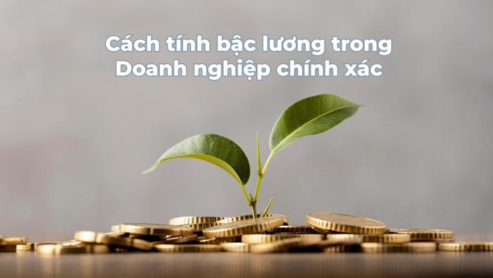 Tư Vấn Doanh Nghiệp PMS