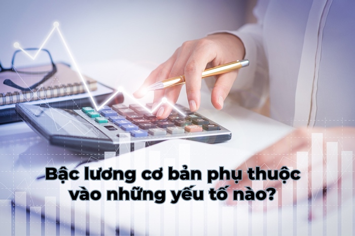Tư Vấn Doanh Nghiệp PMS