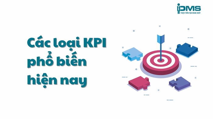 Tư Vấn Doanh Nghiệp PMS