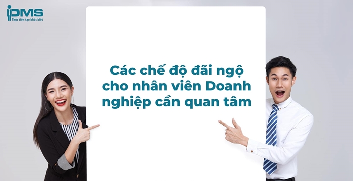 Tư Vấn Doanh Nghiệp PMS
