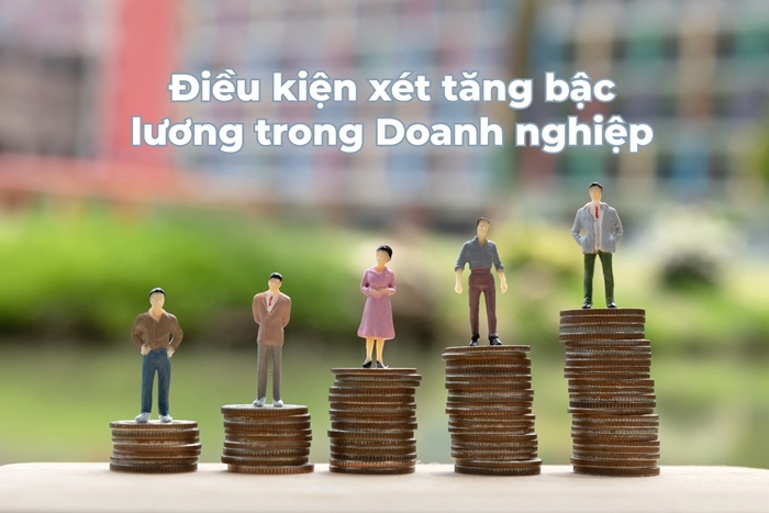 Tư Vấn Doanh Nghiệp PMS
