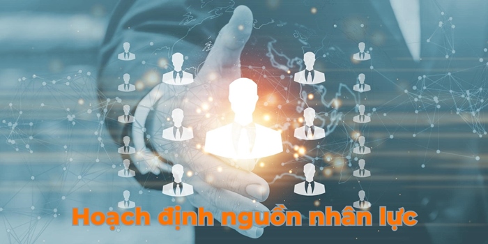 Tư Vấn Doanh Nghiệp PMS