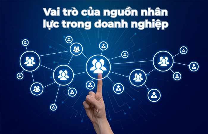 Tư Vấn Doanh Nghiệp PMS