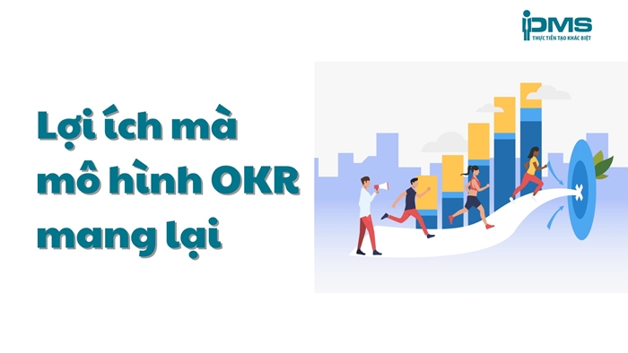 Tư Vấn Doanh Nghiệp PMS