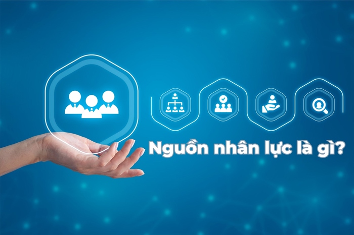 Tư Vấn Doanh Nghiệp PMS
