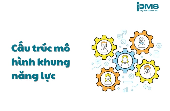 Tư Vấn Doanh Nghiệp PMS