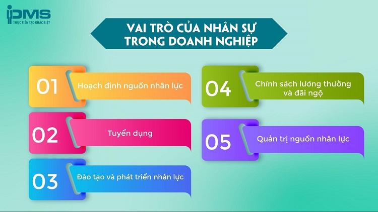Tư Vấn Doanh Nghiệp PMS