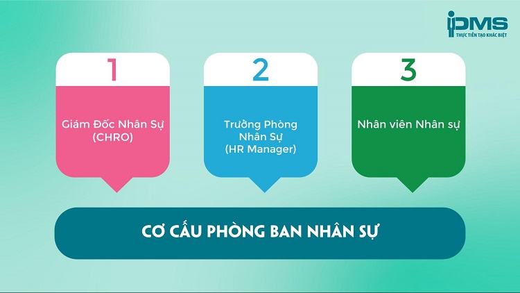 Tư Vấn Doanh Nghiệp PMS
